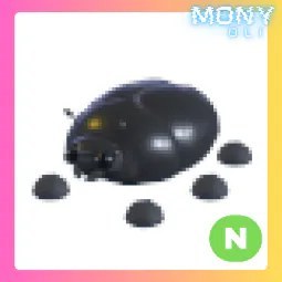 N Giant Black Scarab