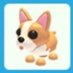 French Bulldog No Pot
