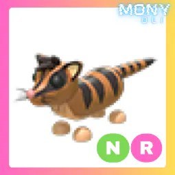 NR Banded Palm Civet