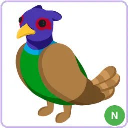 N Green Chested Pheasant