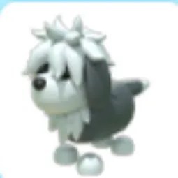 English Sheepdog