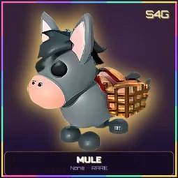 Mule