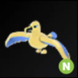 N Golden Albatross