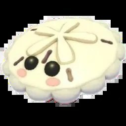 White Sand Dollar