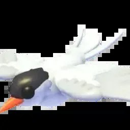 N Arctic Tern