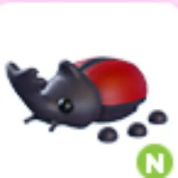 Rhino Beetle