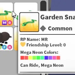 MR Garden Snake