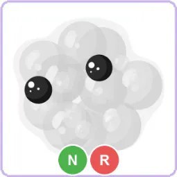 NR Frogspawn