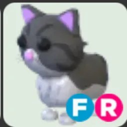 Persian Cat FR