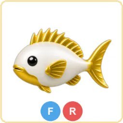 FR Gold Mahi