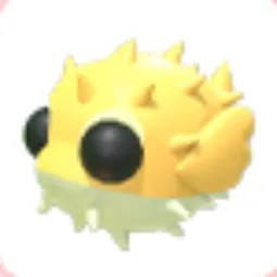 Puffer Fish