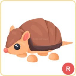 R Armadillo