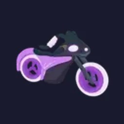 Shadow Rider