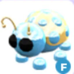 Adm F Diamond Ladybug
