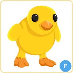 F Chick