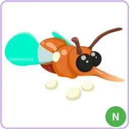 N Mosquito