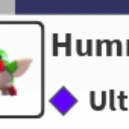 Hummingbird N