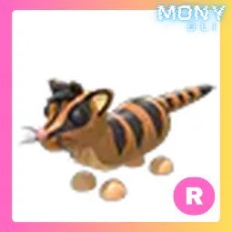 R Banded Palm Civet
