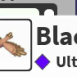 Black Kite N