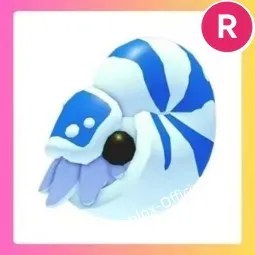 Nautilus R