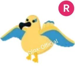 Golden Albatross R