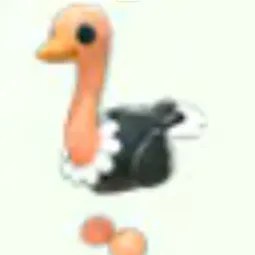 Ostrich