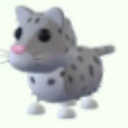 Snow Leopard