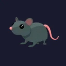Rat