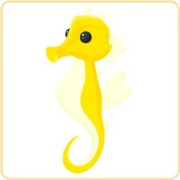 Seahorse