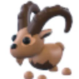 Ibex