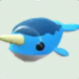 Narwhal