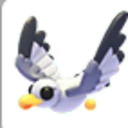 Seagull