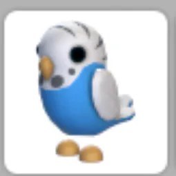 Parakeet