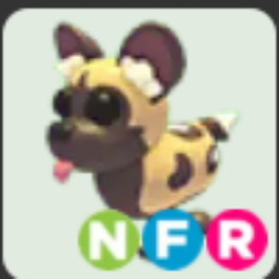 African Wild Dog NFR