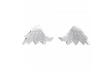 Angel Wings ▪️ Legendary 🎩 Pet Wear ⚡ 24/7 Online 🚀