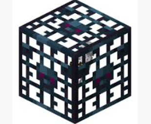 Skeleton Spawner