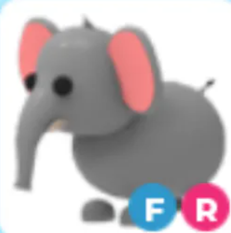 FR Elephant > Adopt Me > Fast Delivery