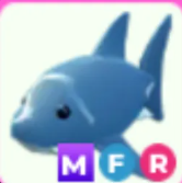 MFR Shark - Response Time Under 1 Minute