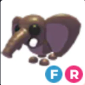 FR Bush Elephant - Response Time Under 1 Minute