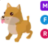 MFR Shiba Inu - Response Time Under 1 Minute