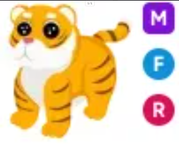 MFR Lunar Tiger - Response Time Under 1 Minute