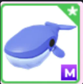 M Blue Whale - Response Time Under 1 Minute