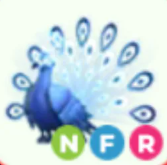 NFR Moonbeam Peacock - Response Time Under 1 Minute
