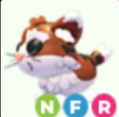NFR Munchkin Cat - Response Time Under 1 Minute