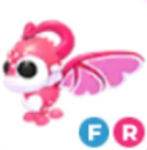 FR Cupid Dragon - Response Time Under 1 Minute