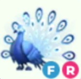 FR Moonbeam Peacock - Response Time Under 1 Minute