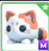 M Mochi Meow - Response Time Under 1 Minute
