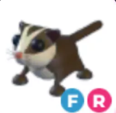 FR Sugar Glider - Response Time Under 1 Minute