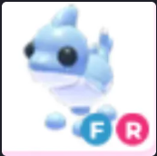 FR Shark Puppy - Response Time Under 1 Minute