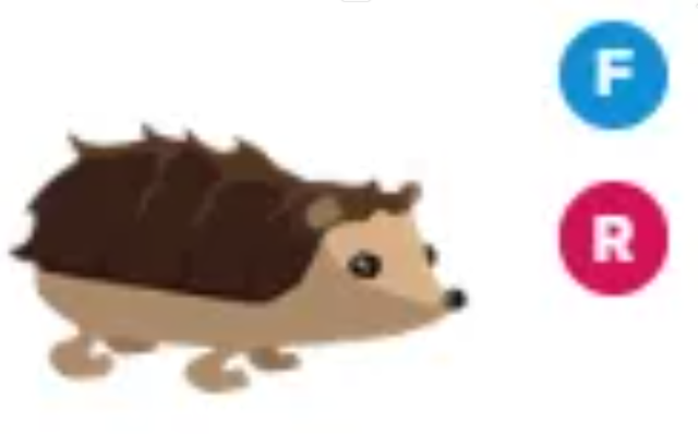 FR Hedgehog - Response Time Under 1 Minute